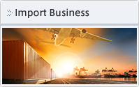 Import Business